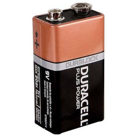 Duracell 9V Alkaline Batteries Long Lasting Power Guaranteed for Smoke Detectors & Electronics (Pack of 2)